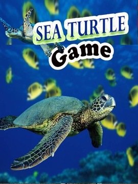 Sea Turtle Game游戏截图2