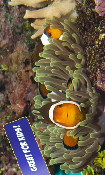 Free Coral Reef Jigsaw Puzzles游戏截图4