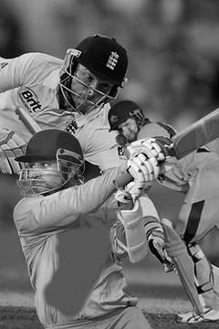 Power Stick Cricket游戏截图4