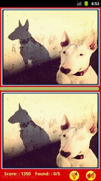 Bull Terrier: Find Differences游戏截图5