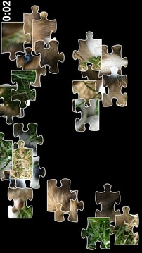 Puppy Jigsaw Puzzles游戏截图2