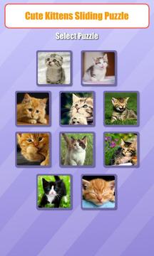 Cute Kitten Sliding Puzzle游戏截图1