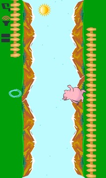 Piggy Flip游戏截图3