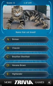 Name that Cat Breed Trivia游戏截图1