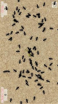 Smash these Ants游戏截图3
