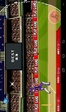 Cricket Mania T20游戏截图5