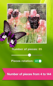 Jigsaw Puzzle: Colorful Season游戏截图2