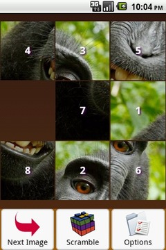 Monkey Puzzle游戏截图2