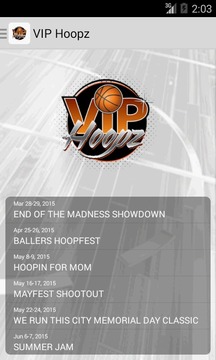 VIP Hoopz游戏截图1