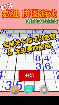 难题! 数独 拼图游戏 FOR EXPERTS游戏截图3