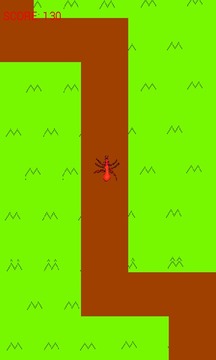 Path of Ants游戏截图2