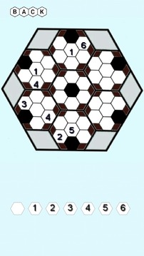 Hexa Sudoku游戏截图2