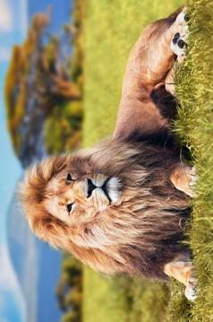 Jigsaw Animals Game游戏截图1