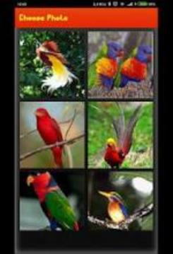 Picture Puzzle Game - Best Bird picture游戏截图4
