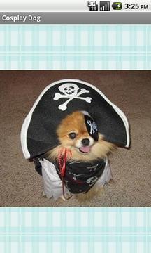 Cosplay Dog free游戏截图1