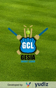 GESIA Cricket League游戏截图1