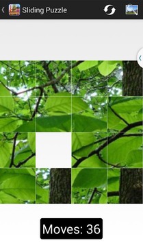 Sliding Tile Puzzle游戏截图4
