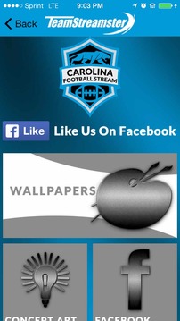 Carolina Football STREAM游戏截图5