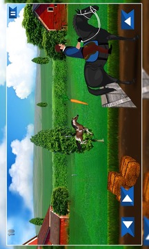 Horse Race Riding Agility 2游戏截图3