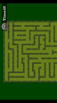 Maze Escape游戏截图2