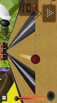 Real Ten Pin Bowling 3D游戏截图4