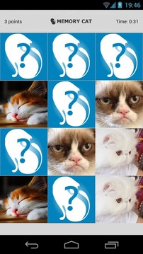Memory Cat游戏截图3