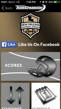 New Orleans Football STREAM游戏截图2