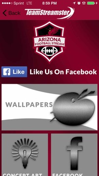 Arizona Football STREAM游戏截图5