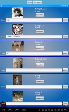 Rate My Kitty游戏截图2