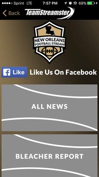 New Orleans Football STREAM游戏截图3