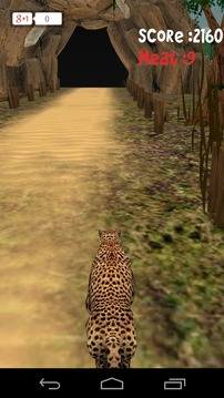 Animal Run :Cheetah 3D游戏截图2