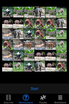 Zoo Animals Story游戏截图2