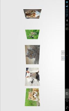 Cats and Kittens Jigsaw Puzzle游戏截图3