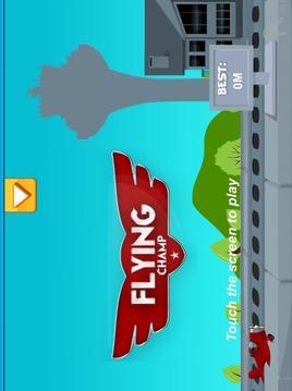 Flying Champ游戏截图1