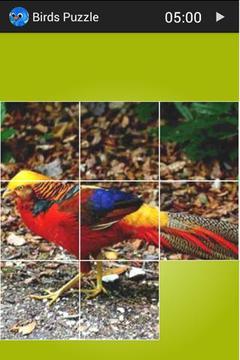 Birds Puzzle游戏截图3