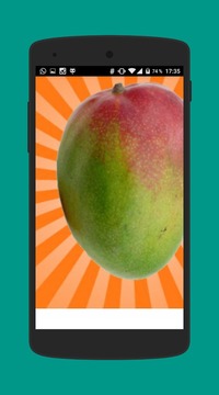 Mango wonder游戏截图2