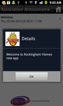 Rockingham Flames游戏截图2