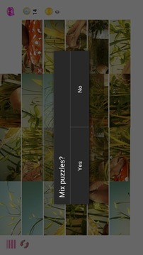 Fantasy puzzle game游戏截图5
