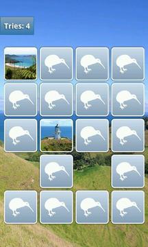 New Zealand Memory Game游戏截图2