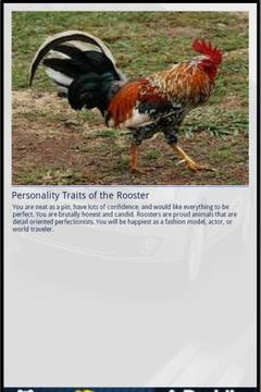 Rooster&Me游戏截图2