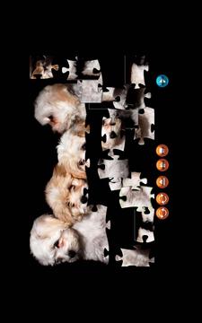 Puppy Jigsaw Puzzle 800x600游戏截图2