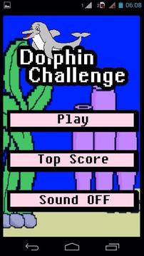 Dolphin Challenge游戏截图1