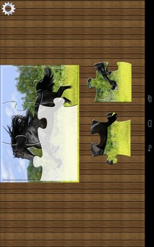 Horses Jigsaw Puzzles游戏截图2