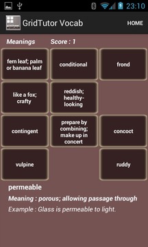Play Vocab on gridTutor游戏截图5