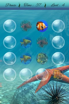 Fish Memory Game游戏截图4