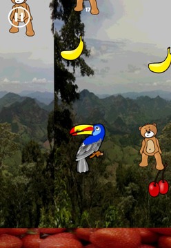 Fruit Toucan Jungle游戏截图3