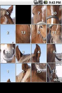 iSlider Horses游戏截图2