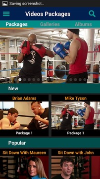 WBC Boxing游戏截图3