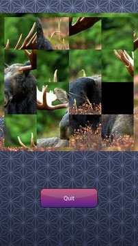 Picture Puzzler游戏截图2