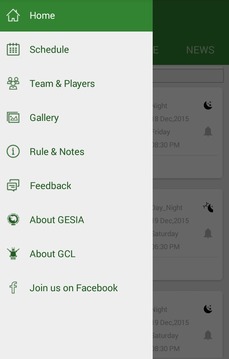 GESIA Cricket League游戏截图2